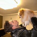 Lucas Santos Instagram - o cachorro é como a gente, cresce e vira um cachorrão 😂🐶 foto anterior o Nerinho com 02 meses 🥰