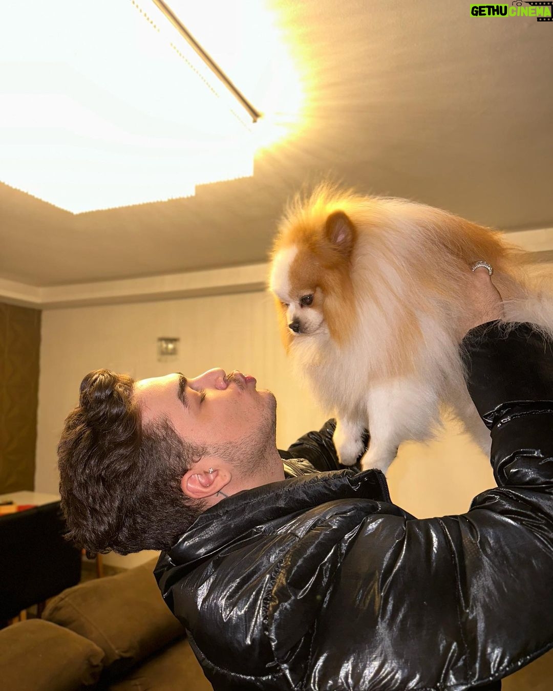 Lucas Santos Instagram - o cachorro é como a gente, cresce e vira um cachorrão 😂🐶 foto anterior o Nerinho com 02 meses 🥰
