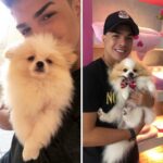 Lucas Santos Instagram - eu e meu filho, um gato e um cachorro hehe merecemos um 💙né?