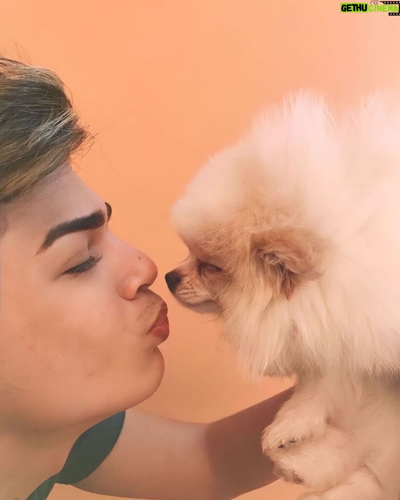 Lucas Santos Instagram - o cachorro é como a gente, cresce e vira um cachorrão 😂🐶 foto anterior o Nerinho com 02 meses 🥰