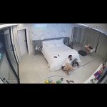 Luccas Neto Instagram - felicidade com esse mlq no carnaval