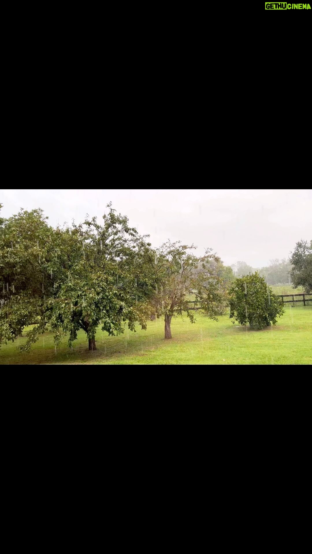 Luciano Pereyra Instagram - En cada lluvia #EstasConmigo ……🩶