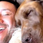 Luciano Pereyra Instagram - #Poncho quiere hacer fiaca pero me parece q no puedo dejarlo …. 🤣🤣 Como te recarga de energías estar tirado un ratito con ellos!!🐶💫❤️🥰