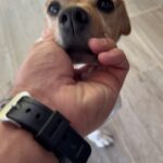 Luciano Pereyra Instagram - #BuenDia ☀️ que tengan un bendecido #Domingo 🐶❤️