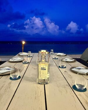 Luis Gerardo Méndez Instagram - Voy a regalar dos noches en la Tiger Suite del resort Andaz Mayakoba. 
Esta increíble suite combina el lujo tropical con el sabor intenso del @mezcalojodetigre.
Podrías pasar dos noches allí, viviendo como una celebridad, bebiendo mezcal, nadando en tu piscina privada, y sintiéndote como el rey, reina o reine de la Riviera Maya.
Todo lo que tienes que hacer para ganar es darle like a este post, etiquetar a las 5 personas con las que te gustaría venir a vivir esta experiencia comentando en este post por qué te gustaría venir, seguir a @mezcalojodetigre y @andazmayakoba.mx en Instagram y listo. Quizás tu razón sea tan buena que incluso me haga llorar, o reír. ¡Quién sabe, lo decidiré al azar!
Así que, ¿qué esperas? Participa y comienza a soñar con esas dos noches en la Tiger Suite. Porque a veces, los sueños y los mezcales pueden volverse realidad. ¡Suerte!

(Incluye dos noches en la Suite Presidencial de Andaz Mayakoba. 
No incluye vuelos ni alimentos y bebidas.)

Anunciaremos al ganador el viernes 7 de julio a las 12pm.
Sujeto a disponibilidad.
