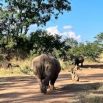 Luis Gerardo Méndez Instagram – Un día de suerte en Zambia.