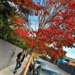 Luis Gerardo Méndez Instagram – 🍁 Los Angeles, California
