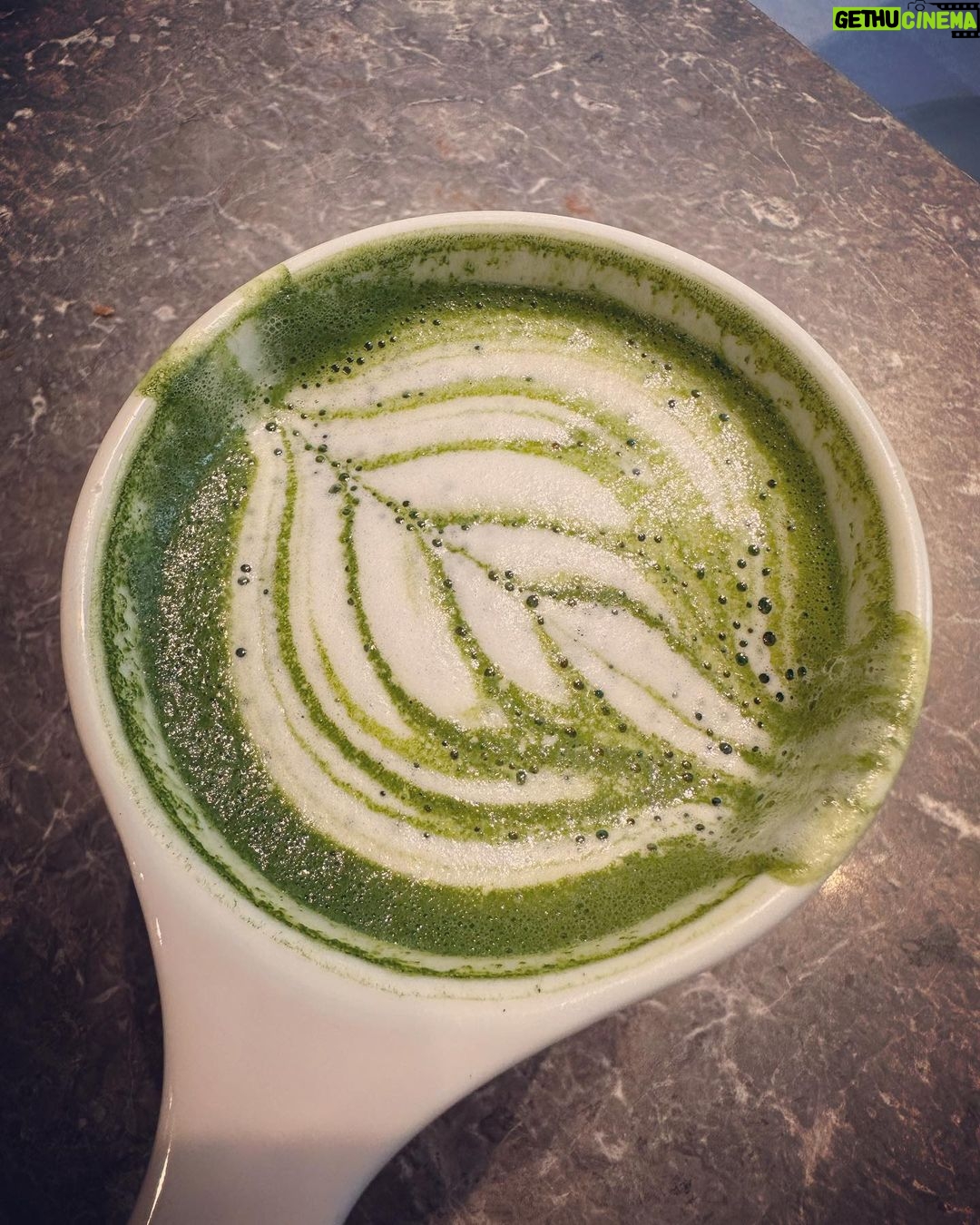 Luisana Lopilato Instagram - Té matcha? Dame mil!!!! 💚 . Matcha tea? Take my money! 💚 Vancouver, British Columbia