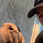 Luke Ishikawa Plowden Instagram - น้องชื่อ Summer ครับ น่ารักไม่ไหว