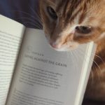 Lupita Nyong’o Instagram – I didn’t know cats get so demanding! Yoyo kneads me when I need to read 😂 #YOYOYYO #Caturday