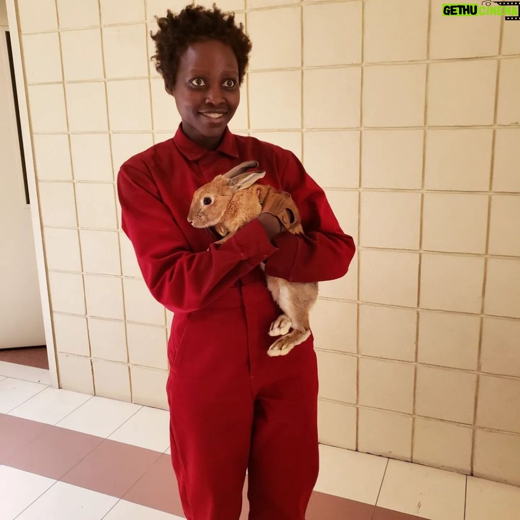 Lupita Nyong'o Instagram - Red ↔️ Adelaide: 4 Years Old Today! @usmovie #bts #jordanpeele : 1. Red ❤️ Rabbit 2. The Adelaides