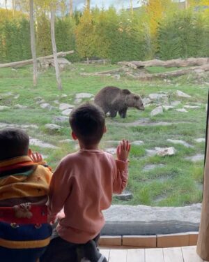 M. Pokora Instagram - 24h à @pairidaizaofficial . Magnifique expérience en famille. 
Comme vous le savez les enfants sont fous des animaux… Ils étaient au paradis. La cerise sur le gâteau était la chambre avec vue sur les ours bruns. Merci @pairidaizaofficial pour cet accueil et votre bienveillance. Meilleur parc zoologique d’Europe. On reviendra! 🙏🏼🫶🏼