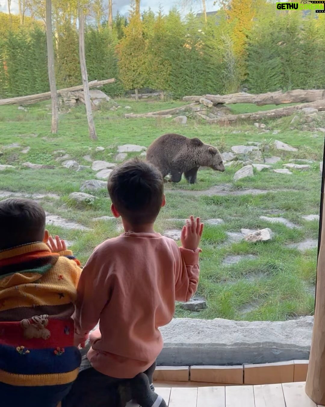 M. Pokora - 57K Likes - 24h à @pairidaizaofficial . Magnifique expérience en famille.
Comme vous le savez les enfants sont fous des animaux… Ils étaient au paradis. La cerise sur le gâteau était la chambre avec vue sur les ours bruns. Merci @pairidaizaofficial pour cet accueil et votre bienveillance. Meilleur parc zoologique d’Europe. On reviendra! 🙏🏼🫶🏼