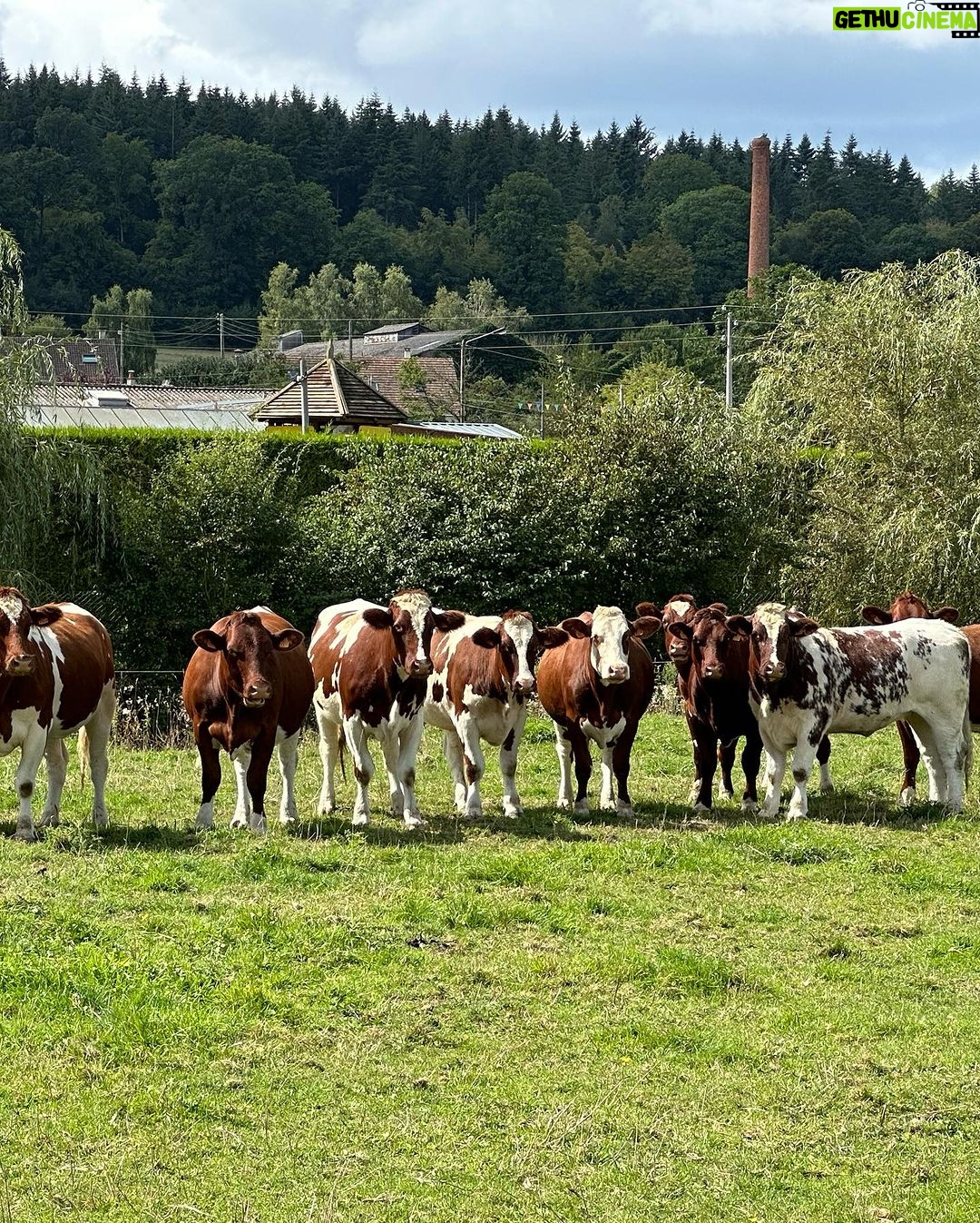M. Pokora Instagram - La campagne, ça vous gagne. Les enfants sont des FOUS de nature, d’animaux, d’insectes et ce n’est pas pour nous déplaire 🙌🏼 Haute-Normandie, France