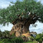 Márcio Garcia Instagram - @disneyworld.brasil Onde os sonhos se tornam realidade! . Foi uma delicia fechar a nossa viagem em um lugar tão mágico e especial! . Obrigado aos queridos amigos da @bibidi_boo pelo serviço impar de concierge!