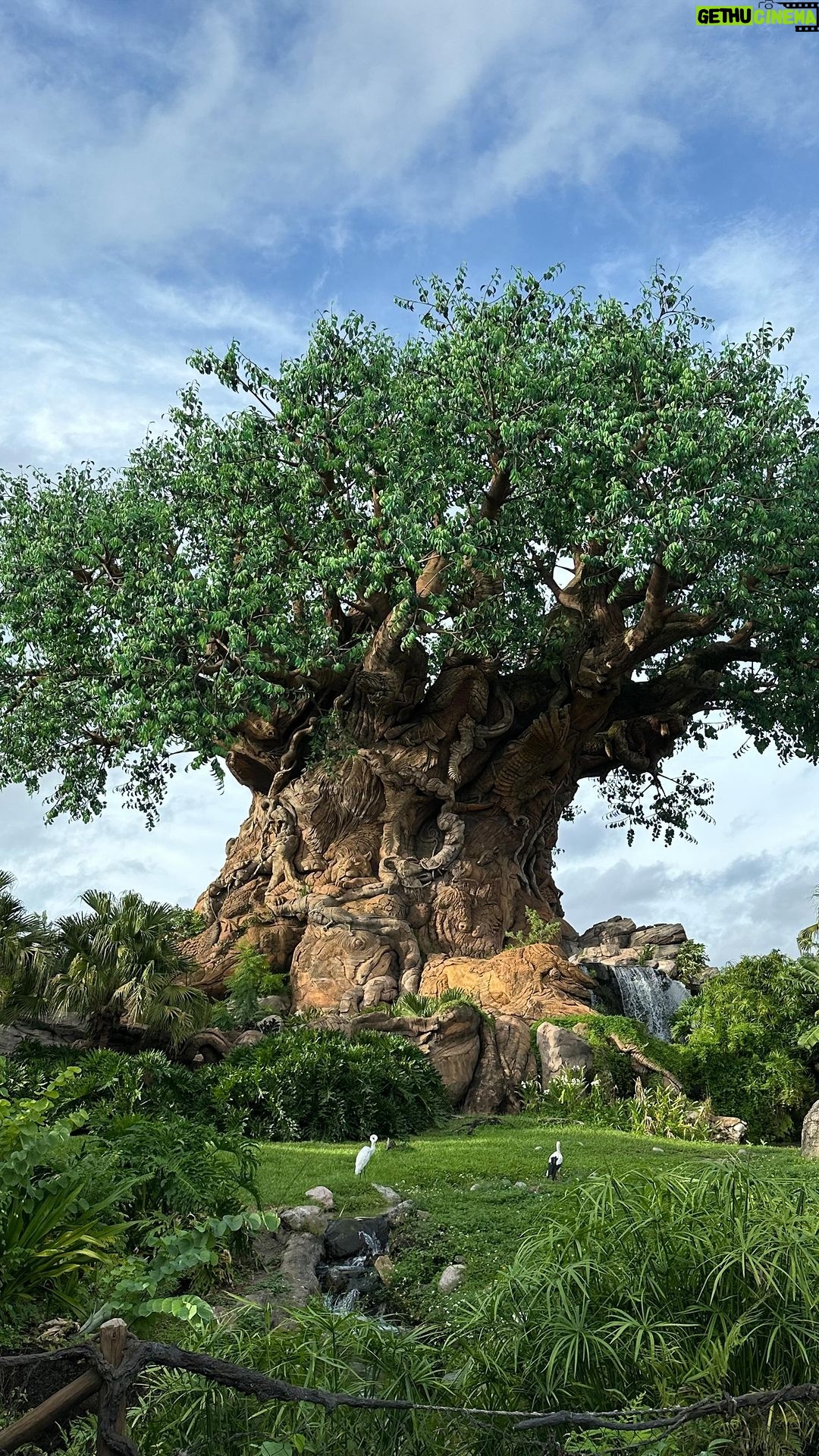 Márcio Garcia Instagram - @disneyworld.brasil Onde os sonhos se tornam realidade! . Foi uma delicia fechar a nossa viagem em um lugar tão mágico e especial! . Obrigado aos queridos amigos da @bibidi_boo pelo serviço impar de concierge!