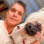 Márcio Garcia Instagram - Quem gosta de ser acordado com carinho deixa um comentário e um like pro Dogo!!! #protejaosanimais #bomfinaldetarde #bomfds