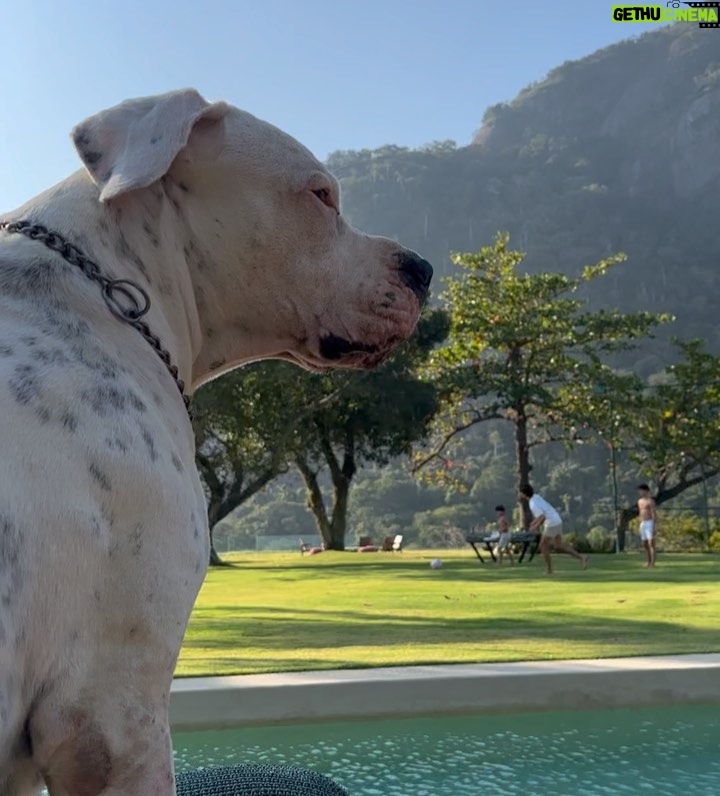 Márcio Garcia Instagram - Dá pra desconfiar que cara é essa? Arraste pro lado e me diga se você tbem fica assim com os seus… #filhos #pets #amomaiordomundo