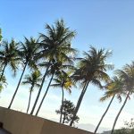 Márcio Garcia Instagram - Hoje foi dia de uma dose extra de vitamina D. Quem aí também curtiu o sol desse sábado? . Alem de ser uma delícia, ainda mais nesse friozinho, dá aquele bronze, mas não exagere. . Use protetor solar, não se se exponha por muito tempo e evite o sol do meio dia. . Lembre-se; a diferença entre o remédio e o veneno, muitas vezes, é a dose. . Que Deus abençoe o nosso final de semana… Joá, Rio De Janeiro, Brazil