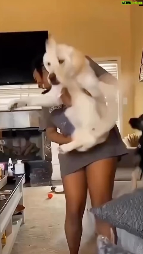 Márcio Garcia Instagram - Fiquei preso nesse vídeo!! Compartilhe com um amigo que não resiste a um peludinho… Boa sexta !!! Que o seu final de semana seja de muita paz, pouca bebida alcoólica e algum aprendizado.