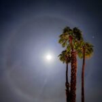 Mädchen Amick Instagram - Happy beaver full moon 😉
