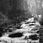 Mädchen Amick Instagram - Today we celebrate #EarthDay in collaboration with @dontmindme and @the_listening_planet foundations. We’re thrilled to bring you unique nature sounds from around the world in this beautifully serene meditation series. Proceeds benefit Don’t MiND Me’s mental health initiatives & The Listening Planet’s environmental protection initiatives 🌎💚   Download the full series (narrated by some of our wonderfully supportive friends, @kyle_maclachlan @natboltt @maggiewheeler_official @constancezimmer & myself @madchenamick) by searching for ‘Meditation Stories’ on Apple Music, Spotify, @weareplatoon or all major platforms — www.thelisteningplanet.com   #earthday #dontMiNDme #dMm #thelisteningplanet #mindful #meditation #mentalhealth #naturesounds #nature #costarica #rainforest #bluebells #bluebellwoods #serengeti #serengetisunrise #river #wren #mariposagrove