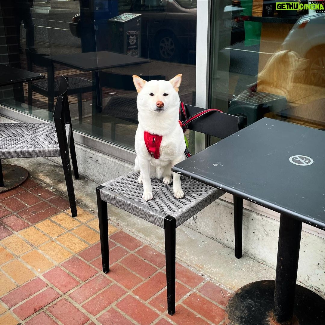 Mädchen Amick Instagram - “My latte is taking forever… Mondays, amirite?”