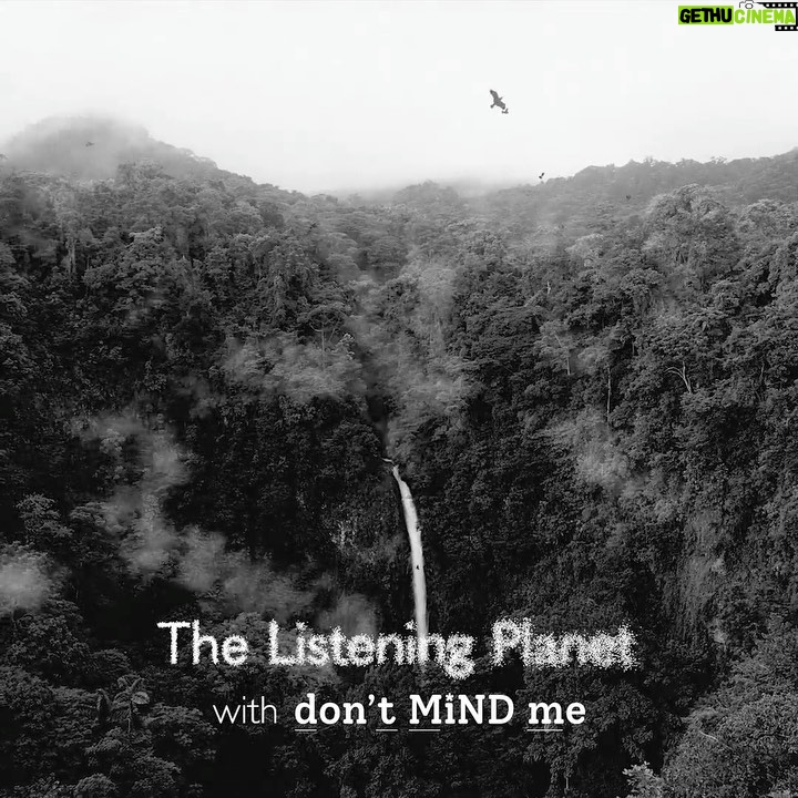 Mädchen Amick Instagram - **LINK IN BIO: MEDITATION** In celebration of #WorldMentalHealthDay I’m so excited to announce that my direct impact non-profit Mental Health Foundation @dontmindme has partnered with @the_listening_planet to bring you unique nature sounds from around the world in combination with mindful meditation journeys narrated by myself and a few of my close friends; @kyle_maclachlan @marielhemingway @jennadewan @maggiewheeler_official and my special wifey @natboltt 🙏🏼 When mental illness hit our family a decade ago we dedicated ourselves to seeking out and sharing with others the most holistic ways to care for our mental well being. I invite you to immerse yourself in the beauty of our precious planet while caring for your mental health. 💚 — Mädchen (as always thanks for your support @thecw @thecwriverdale!! 🙏🏼) Planet Earth