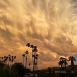 Mädchen Amick Instagram - The front of #hurricanehilary comin in… Swipe for the spectacular colors #nofilter - Plz stay safe everyone! Keep checking on each other.