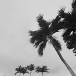 Mélanie Da Cruz Instagram – Views 🌴