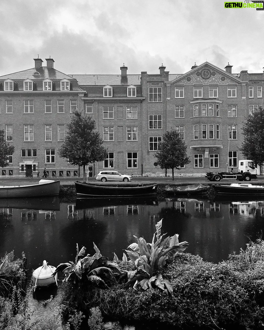Mabel Matiz Instagram - Mini Amsterdam dump, uzun zamandır görülmeyen dostlar, spontan piknik ruhu ve gözümdeki geçmek bilmeyen o arpacık.. 🍃