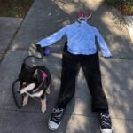 Macaulay Culkin Instagram - Raptured!