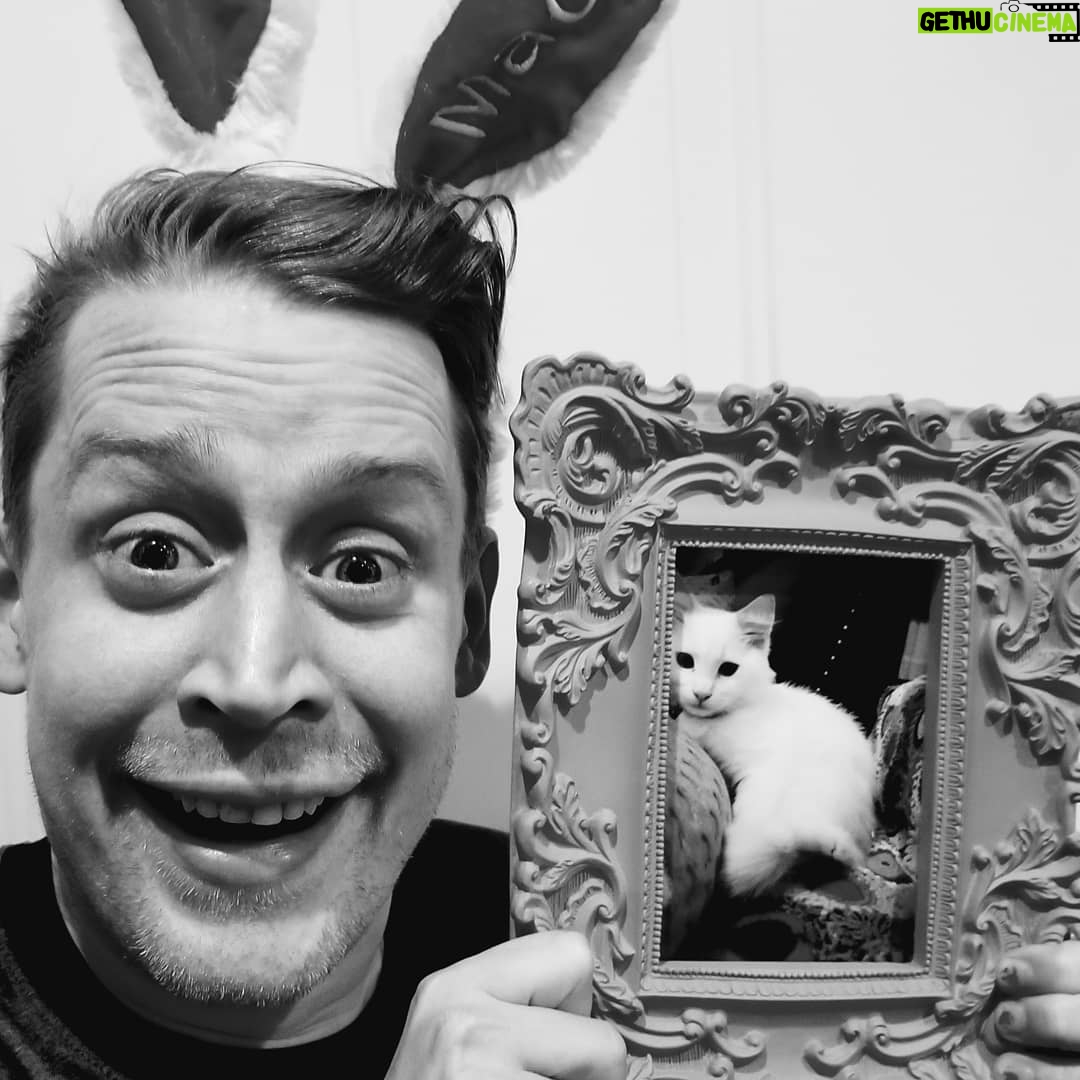 Macaulay Culkin Instagram - This is my pick for Best Picture...