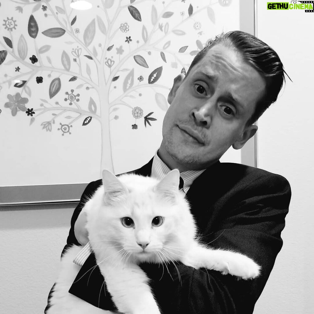 Macaulay Culkin Instagram - Things I'm doing instead of hosting the Oscars: 2. Holding my cat.
