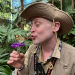 Macaulay Culkin Instagram - Just catching butterflies while at @sdzsafaripark Brenda couldn’t stand that I got one before she did. Thanks so much for hosting our family!