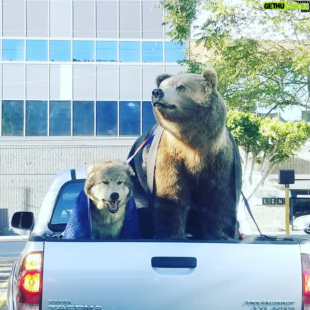 Macaulay Culkin Instagram - A wolf, a bear, and a pick-up truck crash into a bar…