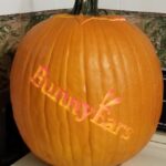 Macaulay Culkin Instagram - This is my pumpkin. There are many like it, but this one is mine. My pumpkin, without me is useless. Without my pumpkin, I am useless.