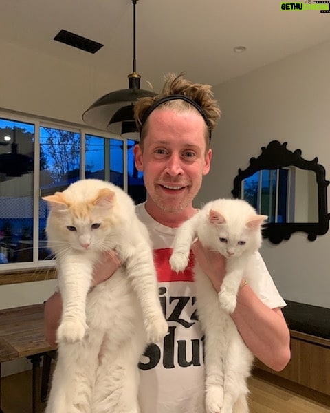 Macaulay Culkin Instagram - They're multiplying.