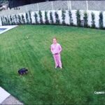Macaulay Culkin Instagram – My dog is pooping and also my backyard camera is working.