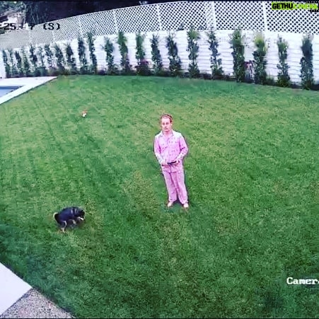 Macaulay Culkin Instagram - My dog is pooping and also my backyard camera is working.