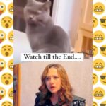 Madalsa Sharma Instagram - There are strict house rules here for everyone😂🤪😋 . . . . #reels #reelsinstagram #madalsasharma #kavya #instapet #petsofinstagram #videooftheday #instadaily #instavideo #instagood #instamood #mood #trending #trendingreels #reelitfeelit #reelkarofeelkaro #reeloftheday #reelit #love #actorslife
