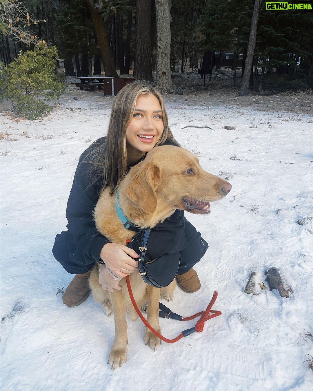 Madison Lewis Instagram - my best friend 🐾 #justrememberyourebeautiful
