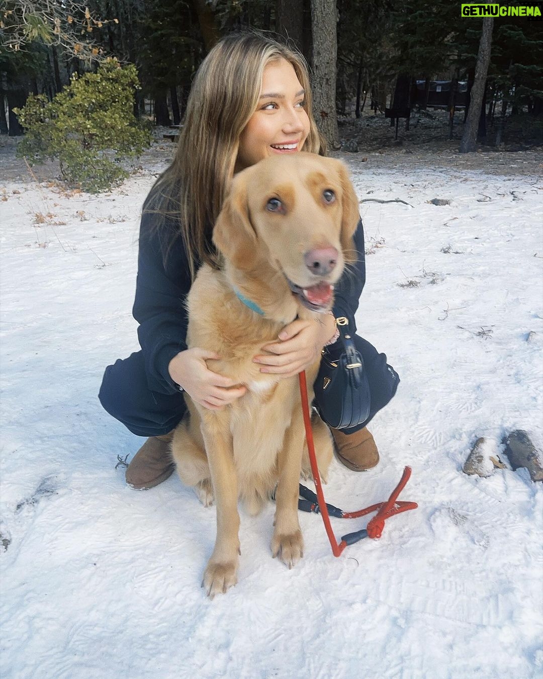 Madison Lewis Instagram - my best friend 🐾 #justrememberyourebeautiful