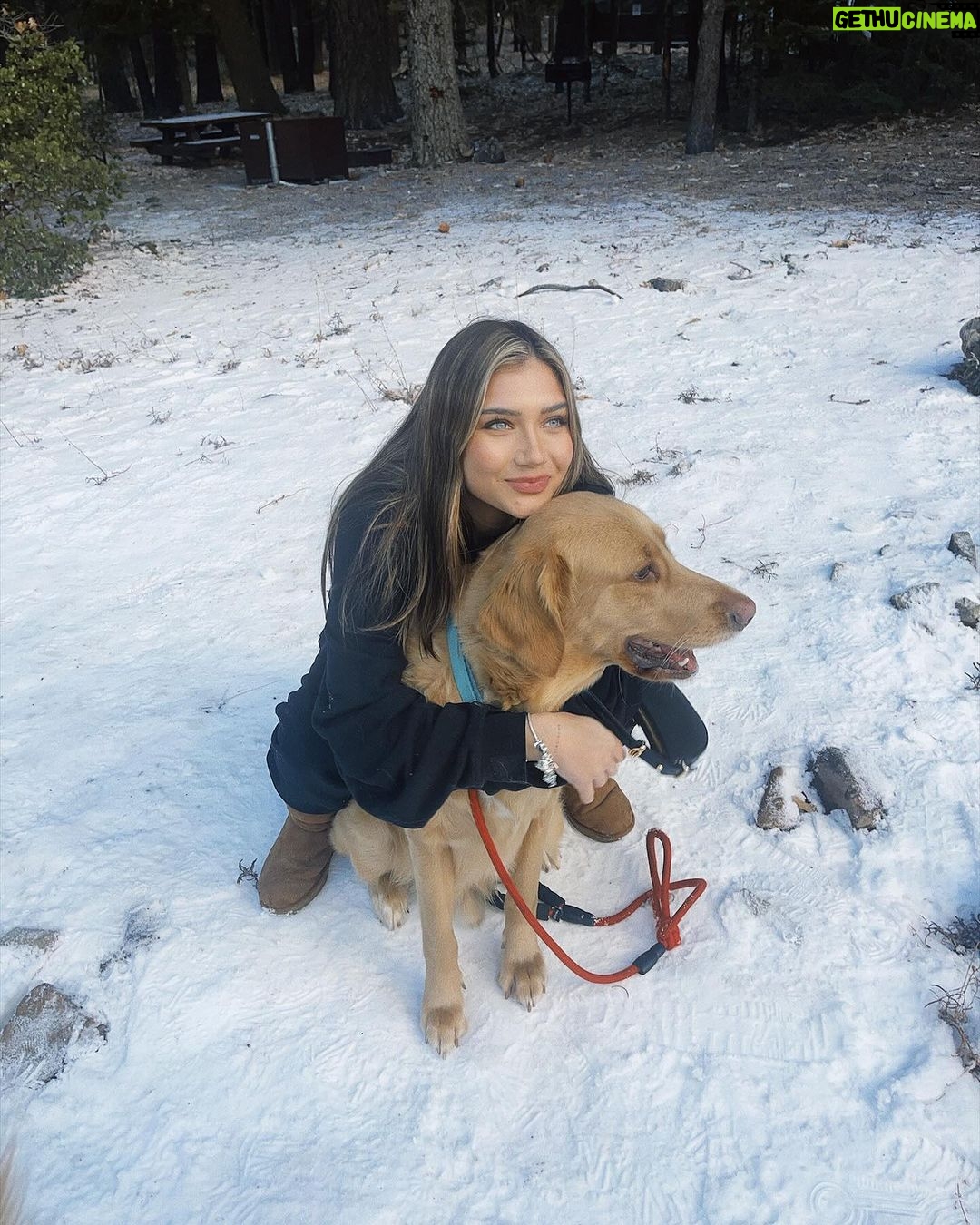 Madison Lewis Instagram - my best friend 🐾 #justrememberyourebeautiful
