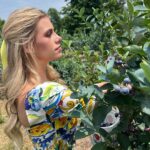 Madisyn Shipman Instagram - Summer means trips to the blueberry farm 🫐 Huckleberry Finns House