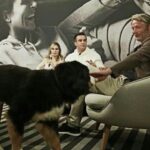 Mads Mikkelsen Instagram - 🐕 #WoofWednesday: Good doggie. #MadsWednesday #MadsMoments #SpecialMads #TeamMads #TheOfficialMads