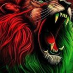 Maged ElMasry Instagram - من أجمل وأقوي المبارايات كنتم أسود حقيقيه💪💪💪شرفتونا وفرحتونا # المغرب# الامارات#الاردن_السعوديه_فلسطين_قطر #