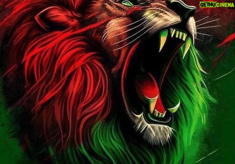 Maged ElMasry Instagram - من أجمل وأقوي المبارايات كنتم أسود حقيقيه💪💪💪شرفتونا وفرحتونا # المغرب# الامارات#الاردن_السعوديه_فلسطين_قطر #