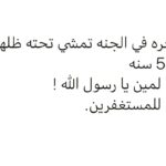 Maged ElMasry Instagram -