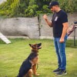 Maged ElMasry Instagram - مساء الفل.. يوم جميل مع ( ناركوس ) صديقي الوفي @adamelmasry1919 @mahielmasrie @dalida_e @raniaabouelnasr19